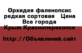 Орхидея фаленопсис редкая сортовая › Цена ­ 800 - Все города  »    . Крым,Красноперекопск